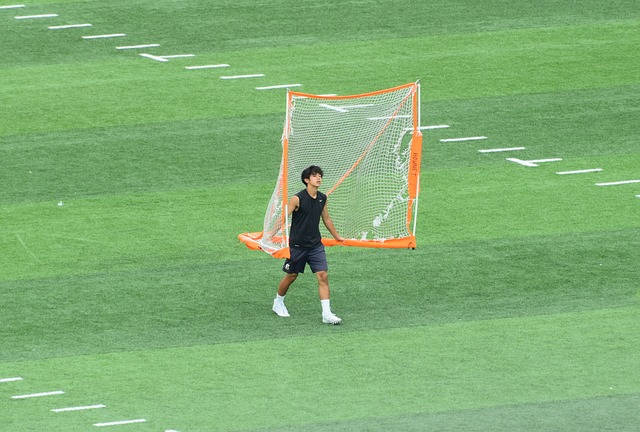 引来了全球