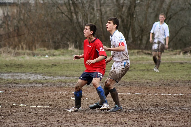 杨等核心球 杨等核心球