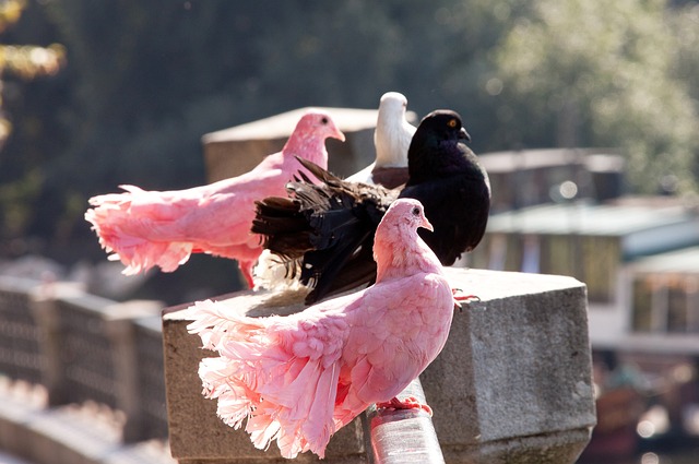 更激发了对 更激发了对