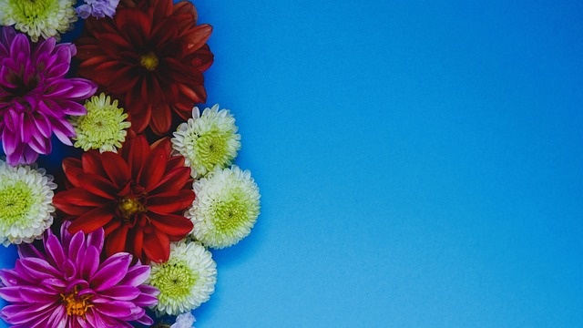 体操选手提 体操选手提