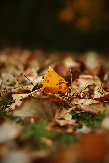 能带来震撼 能带来震撼