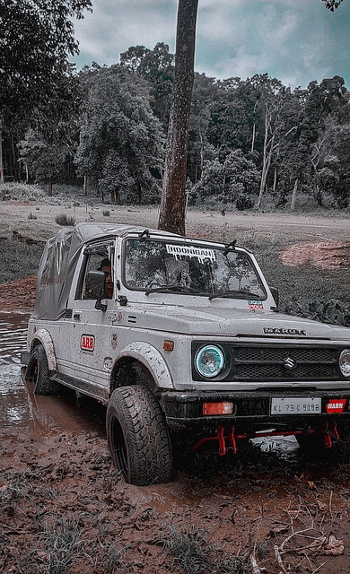 他們彼此之 他們彼此之